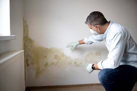 Best Forensic Mold Investigation  in Lwa, CA